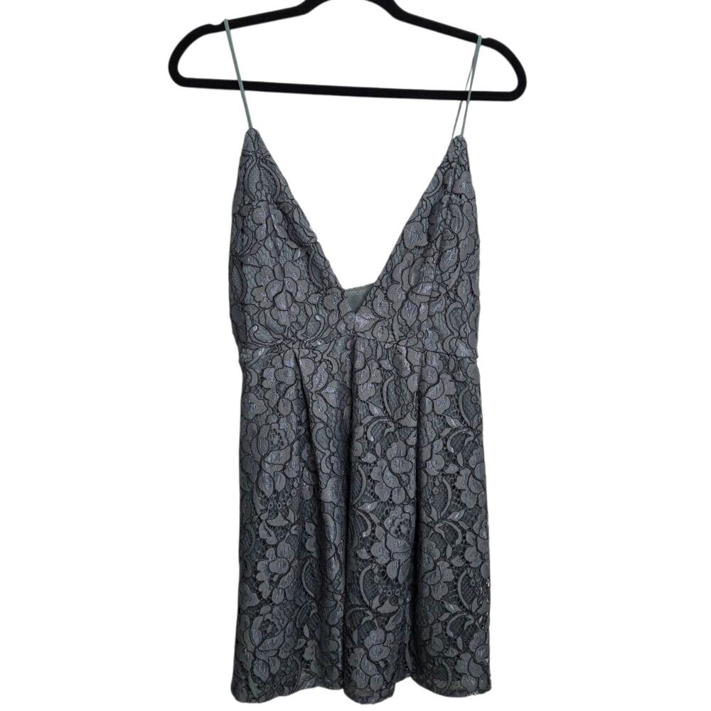 Tobi Hailey Rose Lace Skater‎ Floral Mini Dress Dark Gray Lined SZ M NWT New